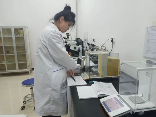 黑龍江省伊春市市場監(jiān)管局舉辦2023年世界計(jì)量日信息技術(shù)咨詢服務(wù)活動